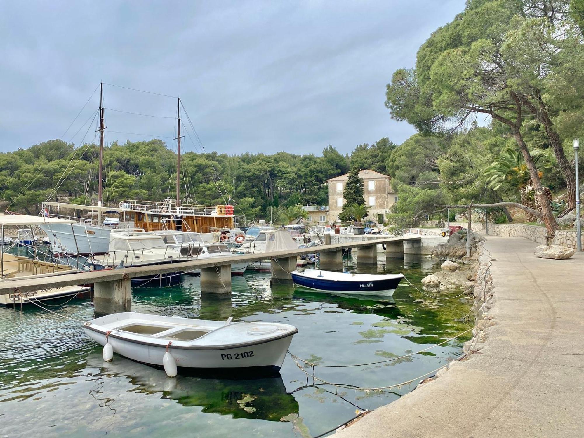 Villa Infinity Mandre Dış mekan fotoğraf